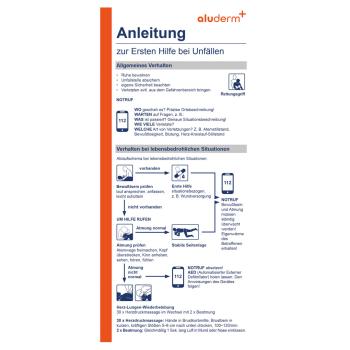 Anleitung Erste Hilfe SO, Sofortmaßnahmen am Unfallort